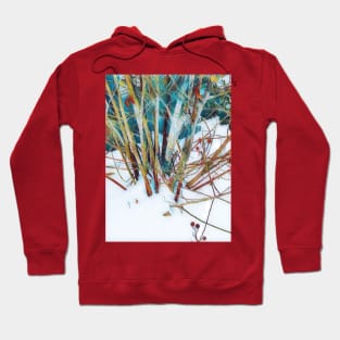 Bush in the snow Hoodie